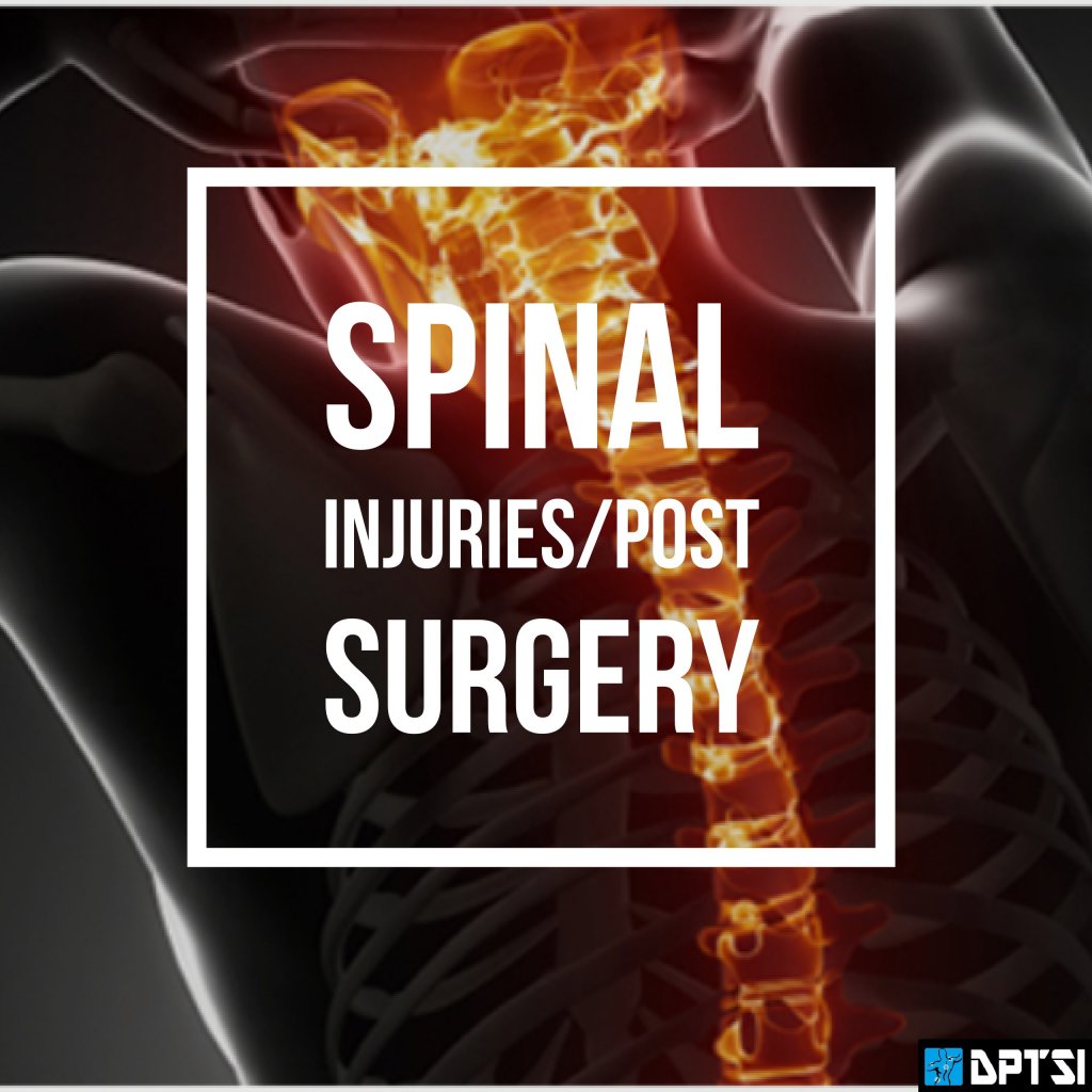 image-710067-Spinal_Injuries-.w640.jpg